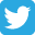 Light Blue Twitter Icon